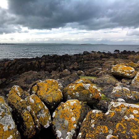 Tern Cottage Groomsport Bagian luar foto